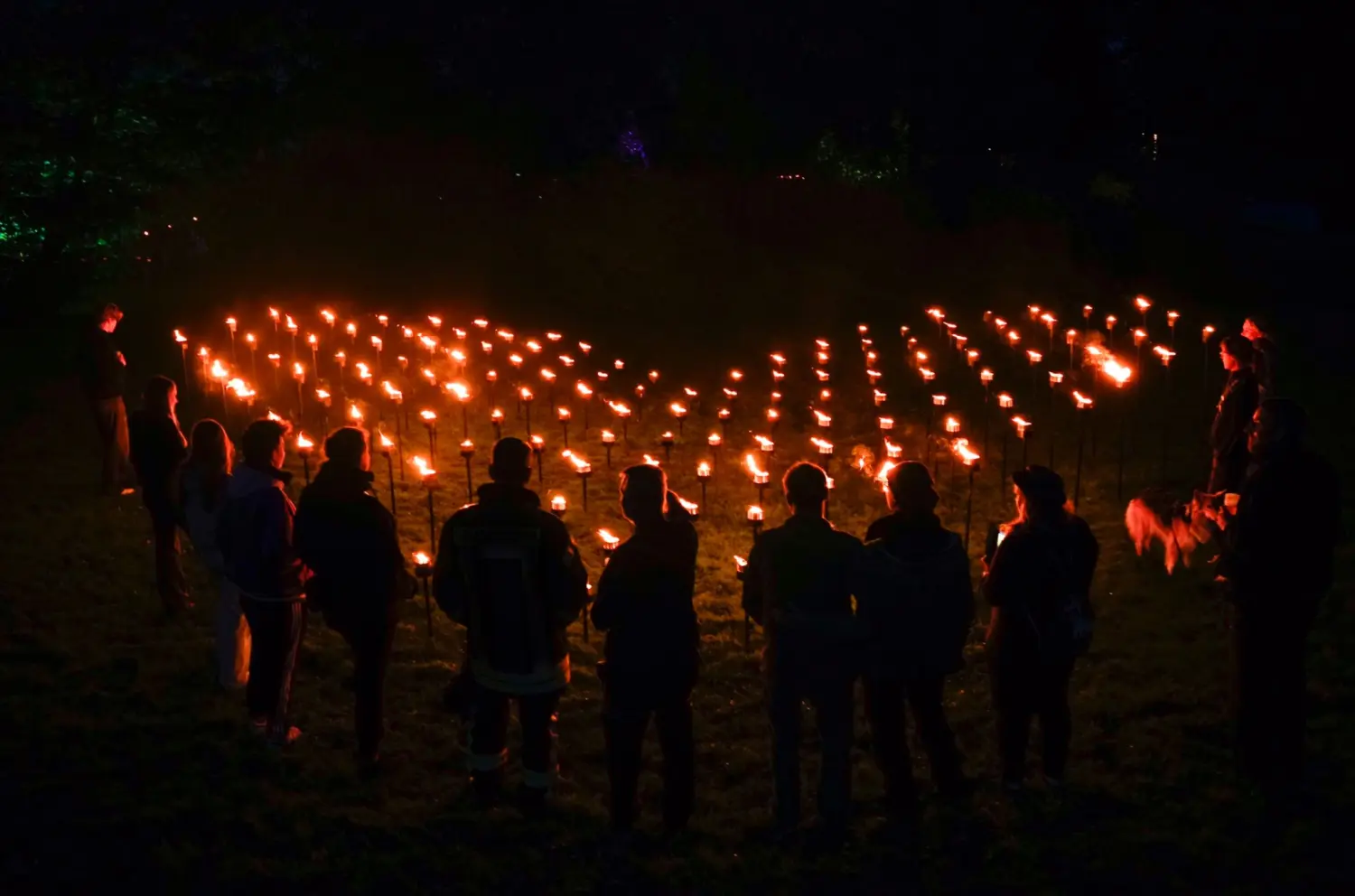 Feuerveranstaltungen von Delta 9 ART 