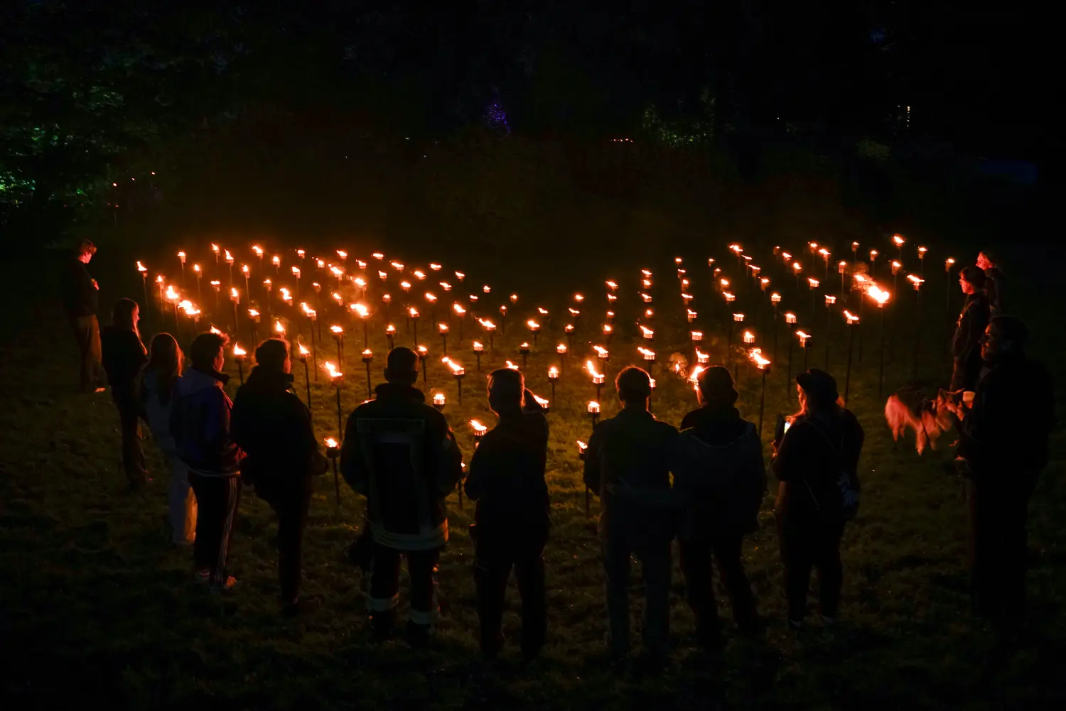 Feuerveranstaltungen von Delta 9 ART 