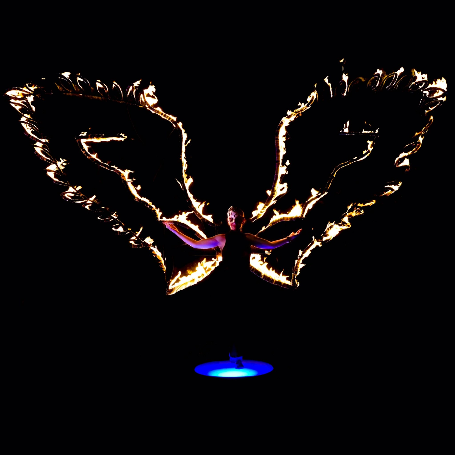 Schmetterlingskunst von Delta 9 ART